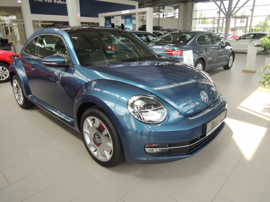 Beetle 2016