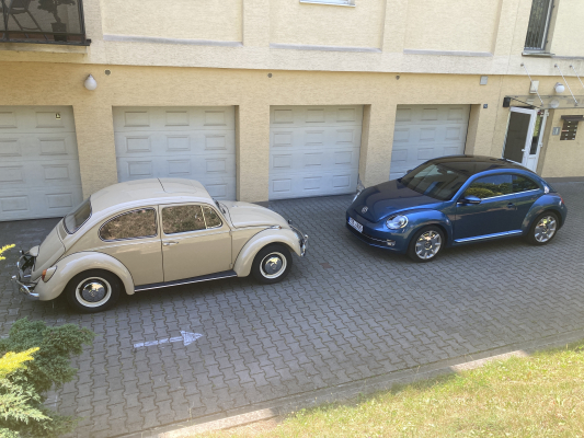 Beetle 1967 a Beetle 2016