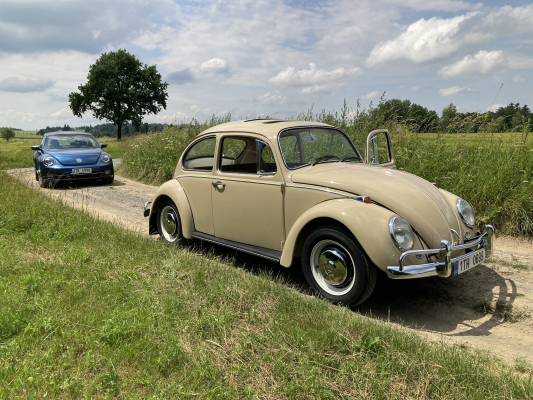Beetle 1967 a Beetle 2016
